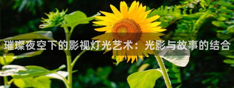 私人人影院