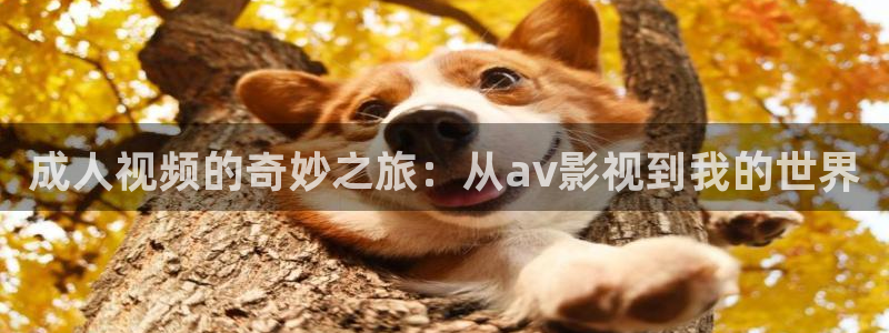 人人视频.