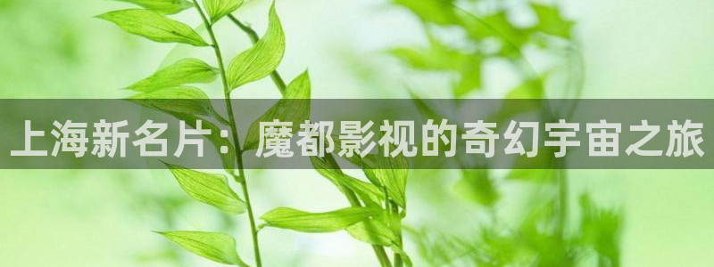 人人影院免费观看电视剧全集