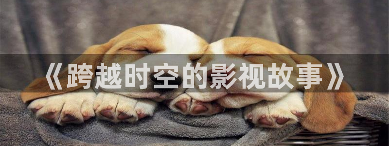 人人影院视频