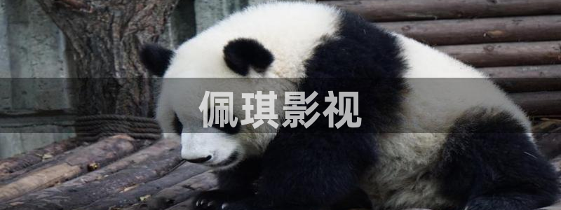 人人视频网站