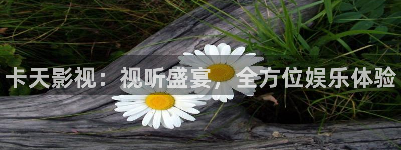 人人影院在线观看免费播放电视剧
