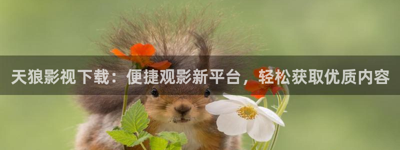 人人影院伦理片