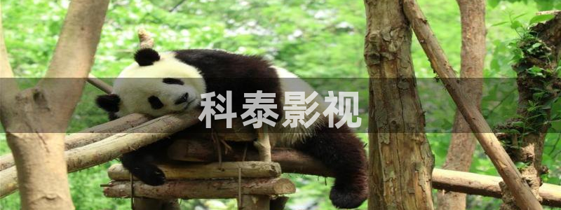 人人影院免费下载