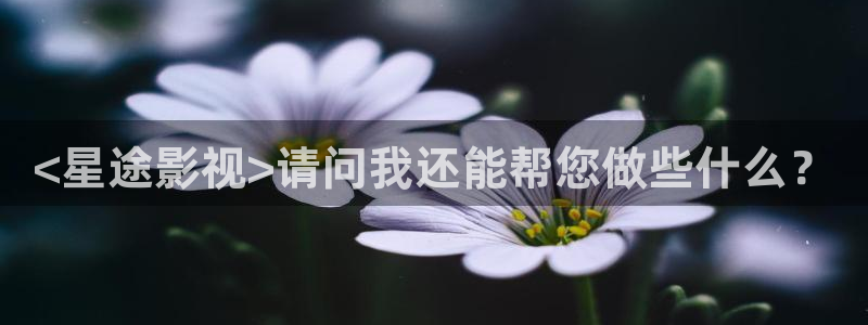 人人影院最新电影电视剧网