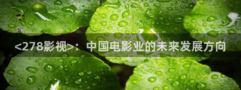 人人影视在线播放
