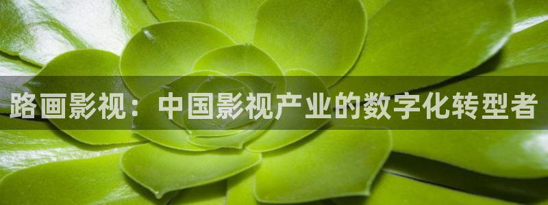 人人影院电影大全