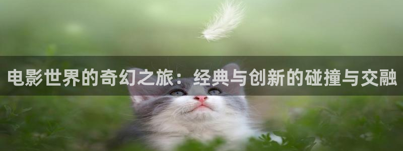 人人干人人视频