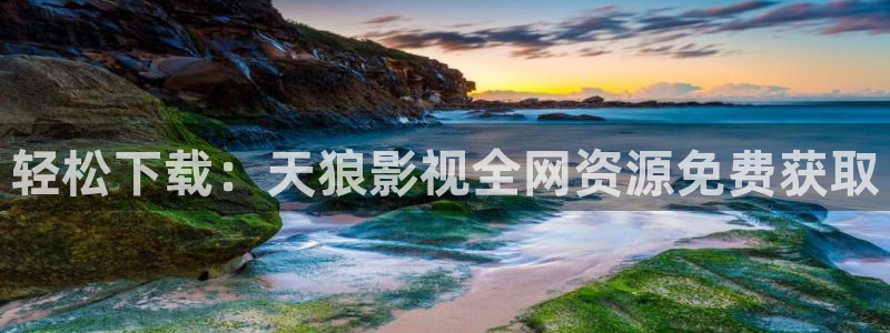 人人影视app下载官网