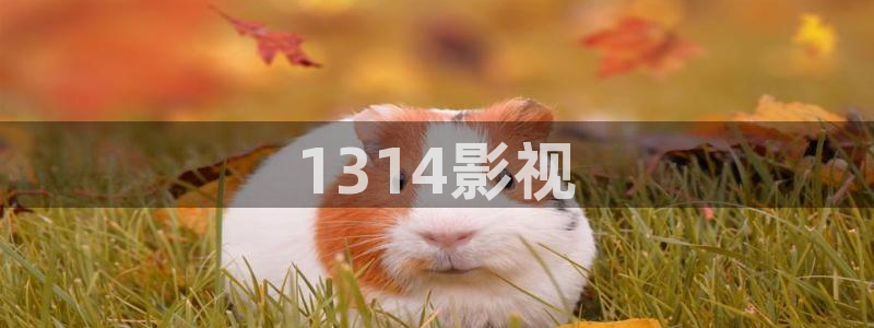 人人影音