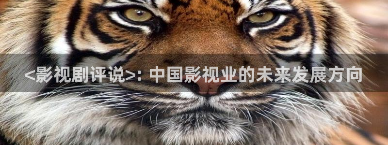 人人影视首页