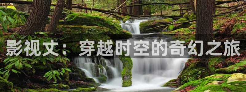 人人影视app下载官网