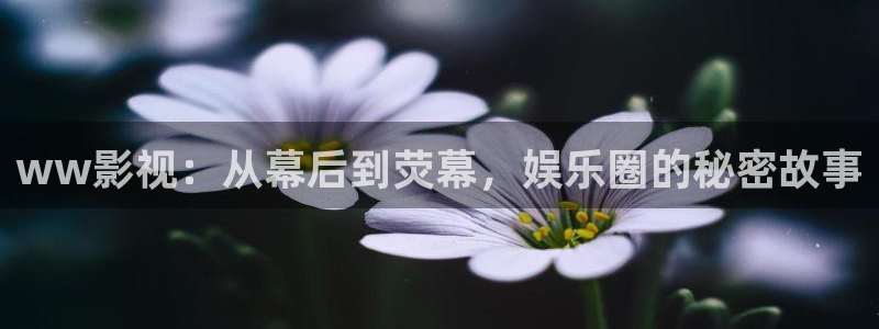 人人视频app