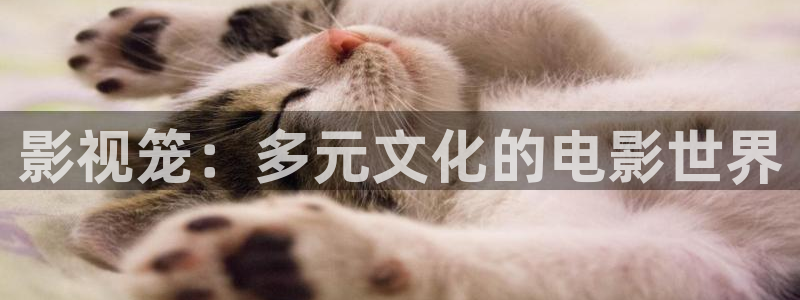 人人影院视频