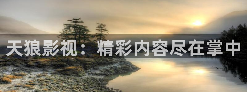 人人视频下载