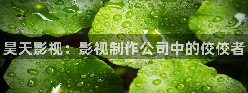 人人干人人影院片