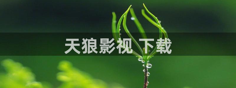 人人影院免费观看电视剧全集