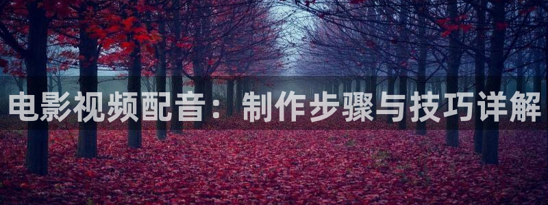 人人影院在线观看免费播放电视剧