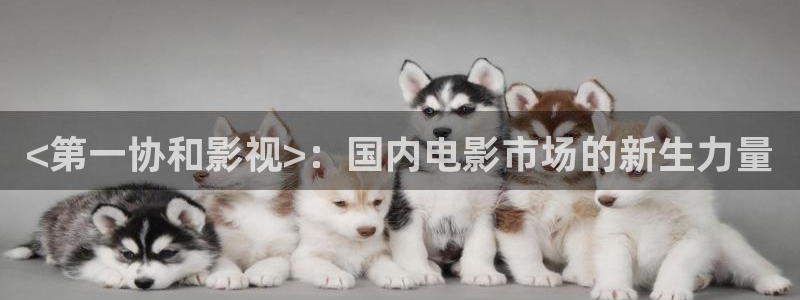 人人影视app