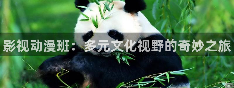 人人影视app下载