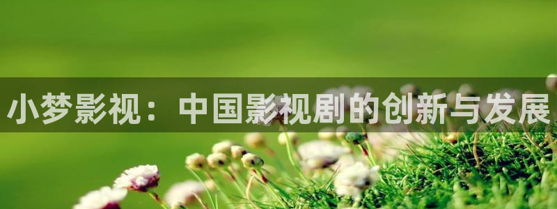 人人影视在线免费观看